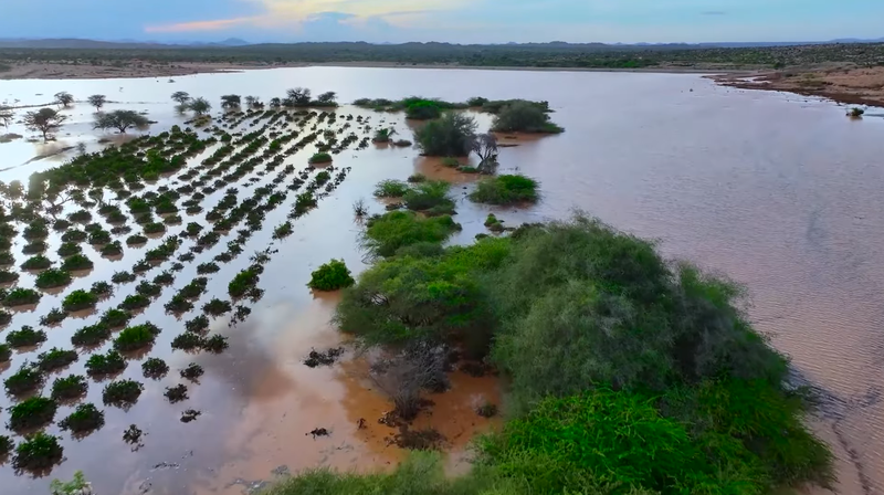 Screenshot 2025-05-21 100208