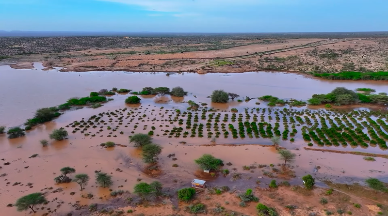 Screenshot 2025-05-21 100240